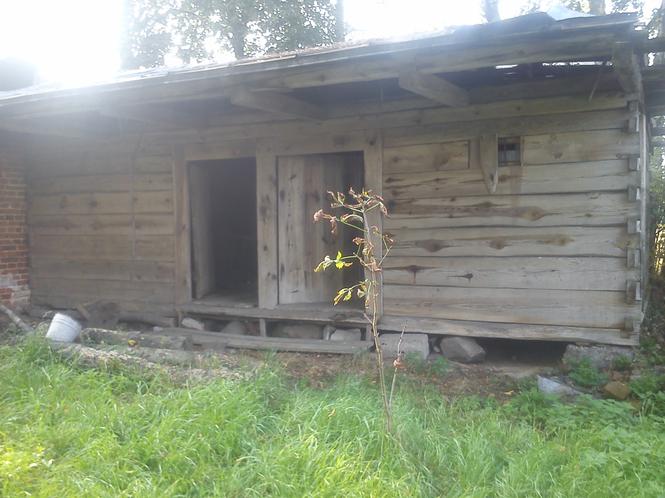 zdjęcie w konkursie Remont roku